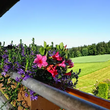 Talblick فندق